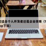 TF签适合个人开发者还是企业使用（TF签名app下载）